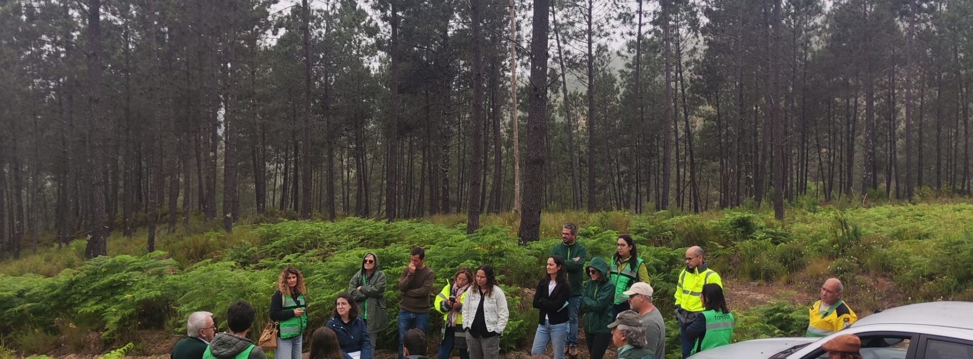 Roteiro PINUS 2025