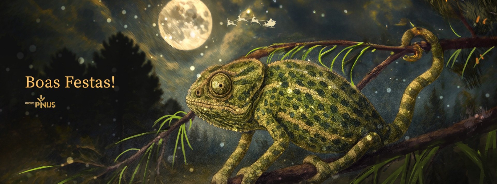 O CENTRO PINUS DESEJA-LHE BOAS FESTAS