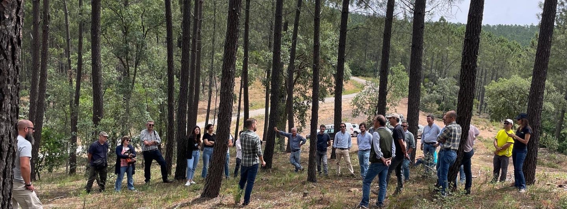 Roteiro PINUS 2025