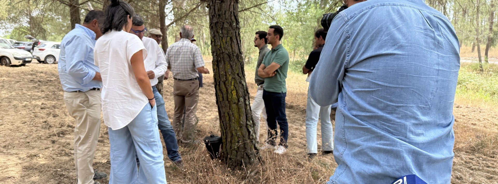 Roteiro PINUS 2025 volta ao pinhal em setembro!