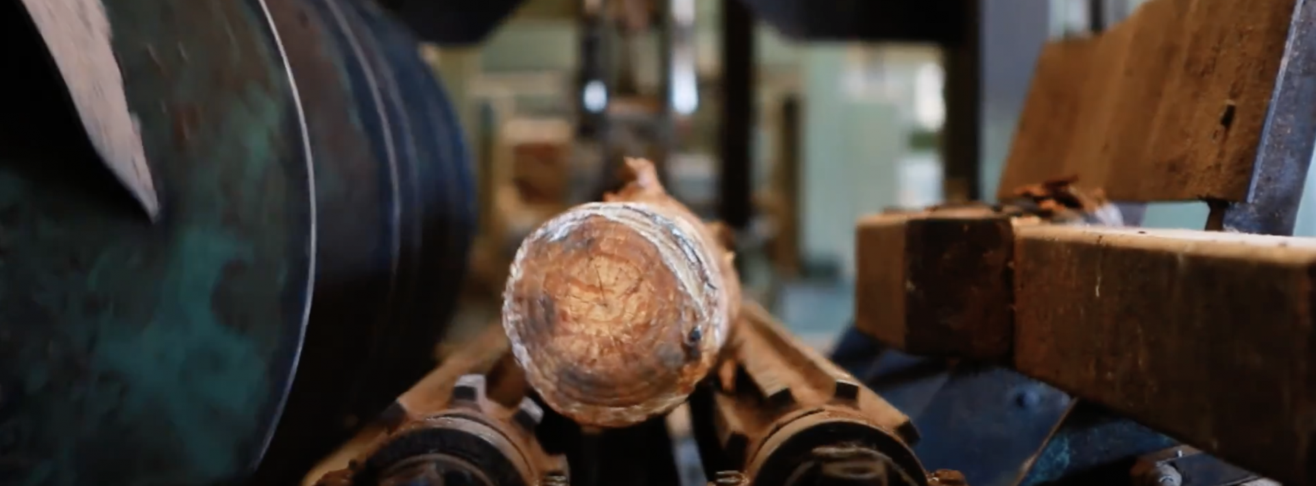 OS PRODUTOS DE MADEIRA DE PINHO CONTINUAM A ARMAZENAR CARBONO