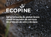 Relat&oacute;rio ECOPINE | Solo e &Aacute;gua