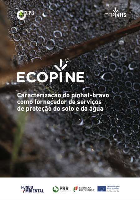 Relat&oacute;rio ECOPINE | Solo e &Aacute;gua