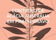 Controlo de acácia-austrália em pinhal-bravo