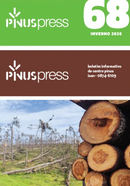 Gest&atilde;o do pinhal ap&oacute;s a tempestade Kristin