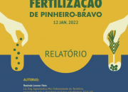 RELATÓRIO FERTILIZAÇÃO DE PINHEIRO-BRAVO