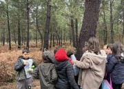 Centro PINUS assinala Dia da Floresta Autóctone