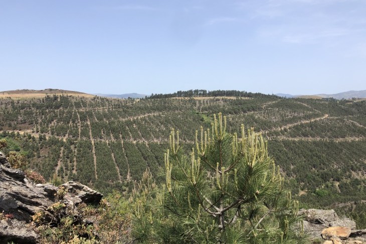 Saída de campo a Boticas em parceria com a CAPOLIB