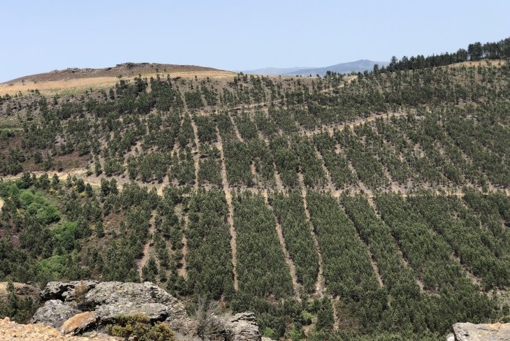 Saída de campo a Boticas em parceria com a CAPOLIB