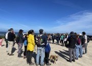 Passeio interpretativo “Pinhal da Praia das Pedras Negras e natureza envolvente”