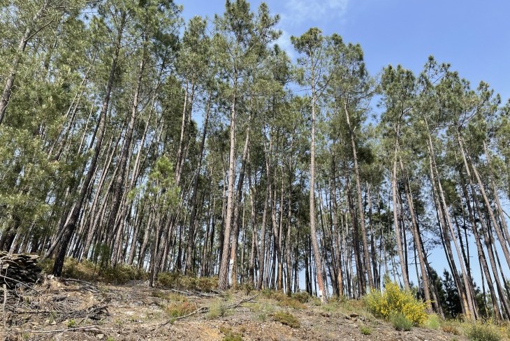 Saída de campo a Boticas em parceria com a CAPOLIB