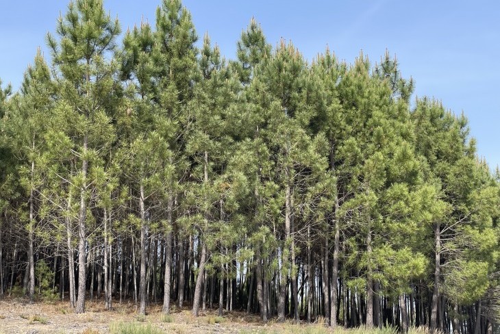 Saída de campo a Boticas em parceria com a CAPOLIB