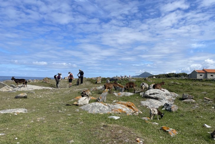 Percurso pedestre "As aves e a natureza do Camarido"