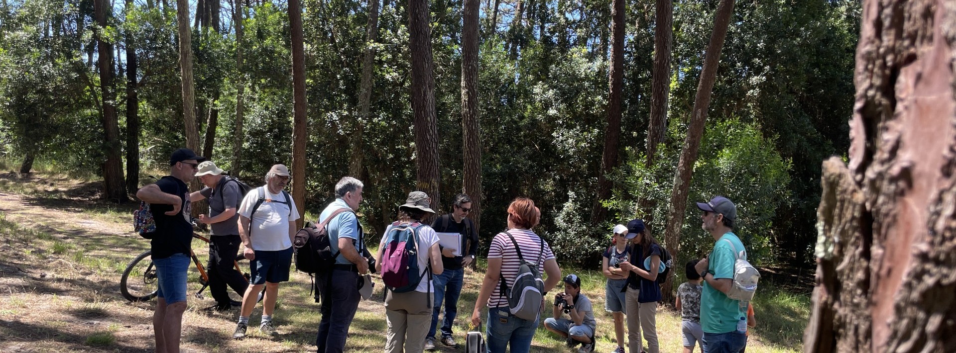23 novembro - domingo  | Dia da Floresta Autóctone