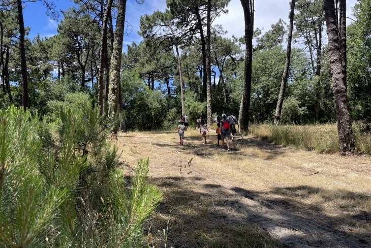 Percurso pedestre "As aves e a natureza do Camarido"