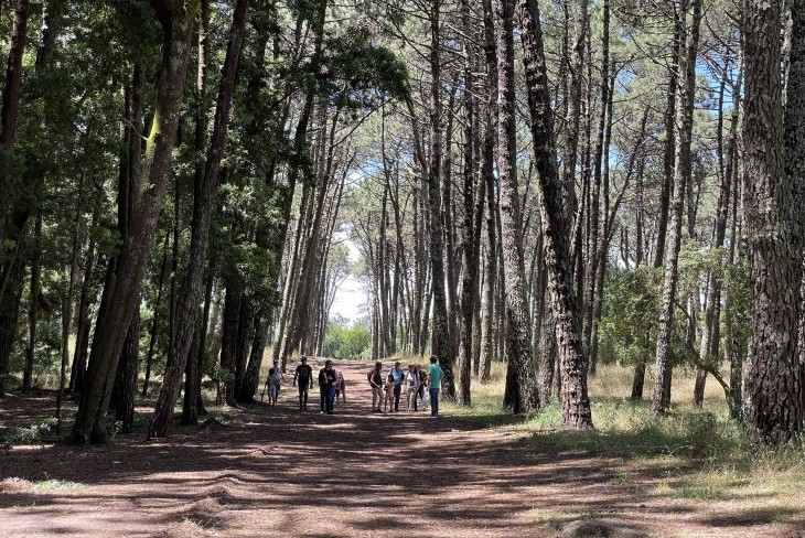 Percurso pedestre "As aves e a natureza do Camarido"