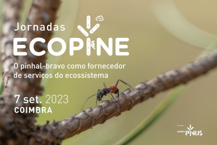 Jornadas Ecopine - O pinhal-bravo como fornecedor de serviços do ecossistema