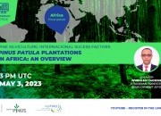 NOVO WEBINAR DO CICLO “Silvicultura de pinheiro: fatores internacionais de sucesso”