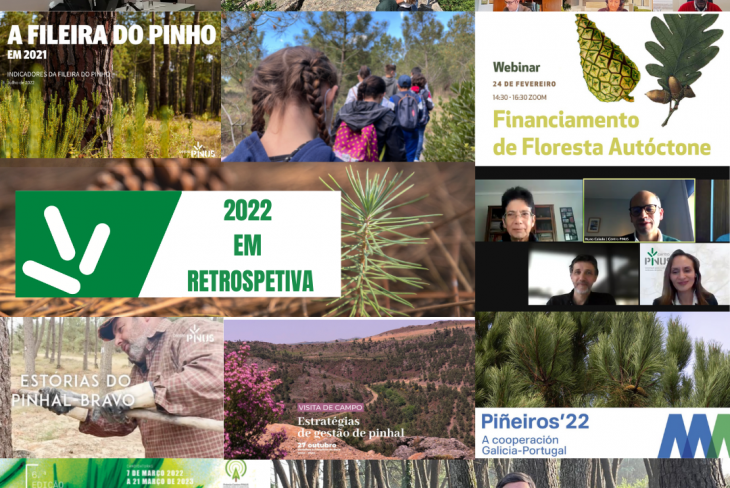 2022: a ação do Centro PINUS em retrospetiva