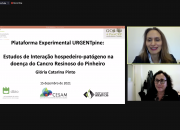 Disponíveis gravação e informação do Webinar Final “Desenvolvimento de Estratégias Integradas para a prevenção do Cancro Resinoso do Pinheiro”