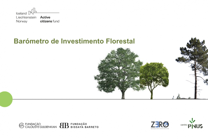 Barómetro de Investimento Florestal: comunicado conjunto Centro PINUS e ZERO