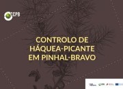 Lançada nova edição sobre o controlo de háquea-picante