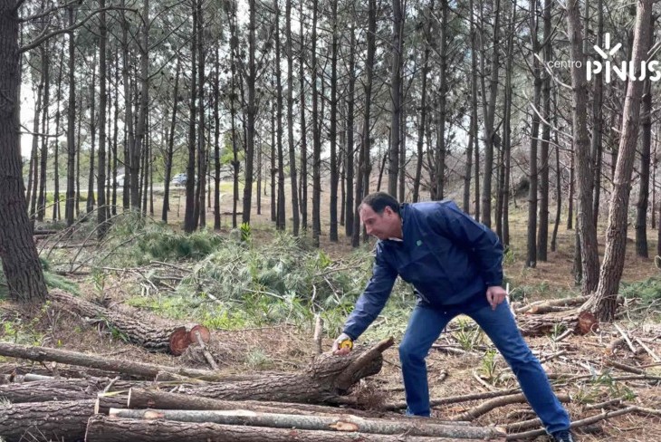 Novo PINUS TV sobre a gest&atilde;o florestal do pinhal-bravo