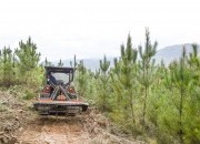 PEPAC: ponto de situação para o setor florestal