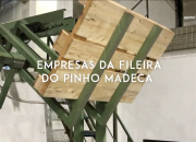 “PINUS TV” Empresas da Fileira do Pinho: MADECA