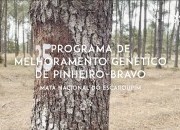 PINUS TV dá a conhecer o Melhoramento Genético do pinheiro-bravo