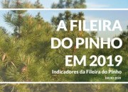 A FILEIRA DO PINHO EM 2019