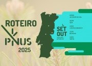 Roteiro PINUS 2025 volta ao pinhal em setembro