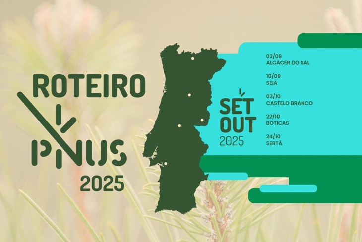 Roteiro PINUS 2025 volta ao pinhal em setembro