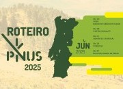 "Roteiro PINUS 2025" percorre o país com ações dedicadas ao pinhal-bravo