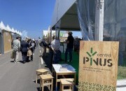 Centro PINUS regressa &agrave; Expoflorestal