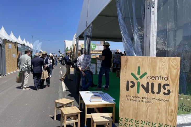 Centro PINUS regressa &agrave; Expoflorestal