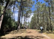 Centro PINUS assinala Dia Mundial do Ambiente com iniciativa dirigida à sociedade