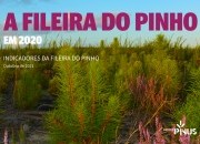 INDICADORES DA FILEIRA DO PINHO 2020