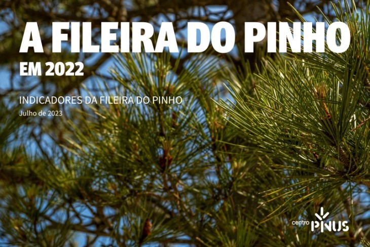 A Fileira do Pinho em 2022