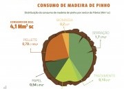 Novos indicadores de consumo de madeira e reciclados