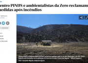 Comunicado Centro PINUS e ZERO: Respostas aos incêndios de 2017 tardam em ir para o terreno
