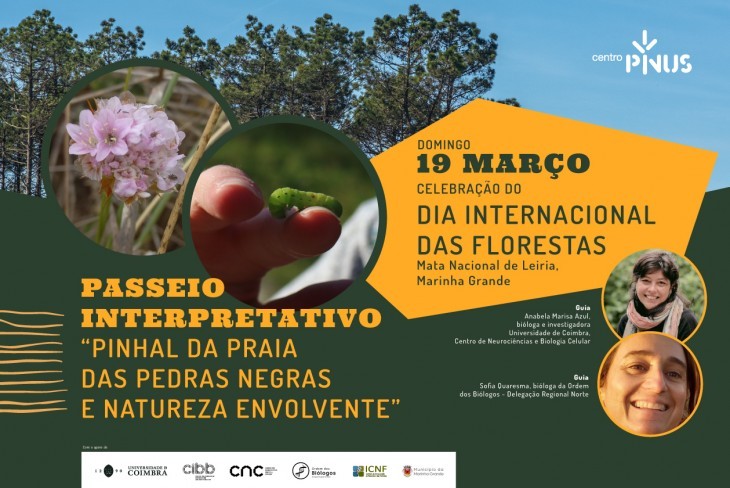 Passeio interpretativo “Pinhal da Praia das Pedras Negras e natureza envolvente”