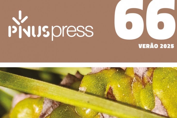 Novo PINUSPRESS em circulação