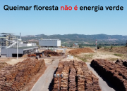 Subsidiação da queima de madeira pela União Europeia ameaça setor florestal