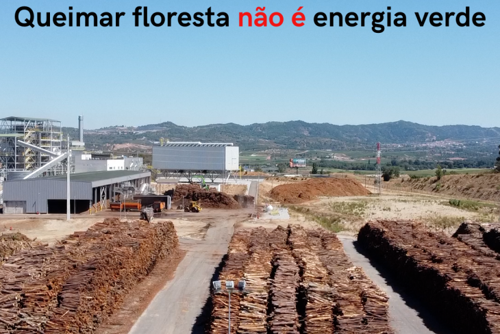 Subsidiação da queima de madeira pela União Europeia ameaça setor florestal
