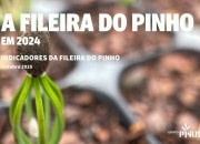 Indicadores da Fileira do Pinho em 2024