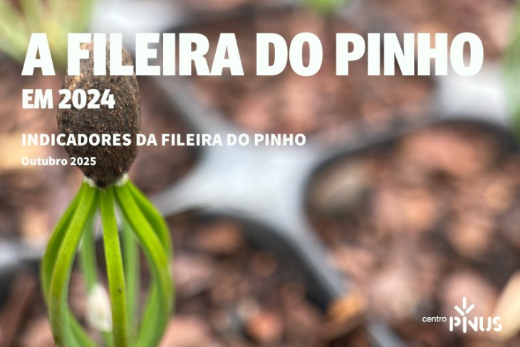 Indicadores da Fileira do Pinho em 2024