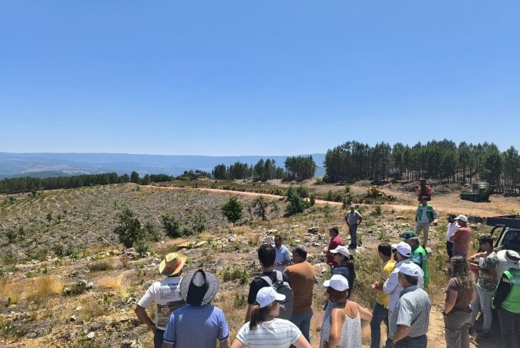 Últimos lugares no Roteiro PINUS 2025