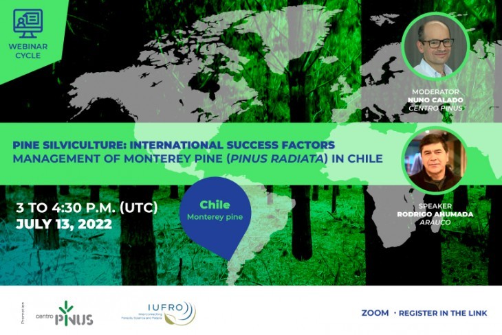 Webinar “Gestão florestal de Pinheiro radiata no Chile”