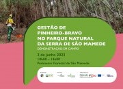 Demonstração em campo “Gestão de Pinheiro-bravo no Parque Natural da Serra de São Mamede”